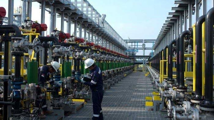 Pengelolaan Blok Rokan dan Mahakam Oleh PT Pertamina Bukti Wujud Kedaulatan Energi Nasional