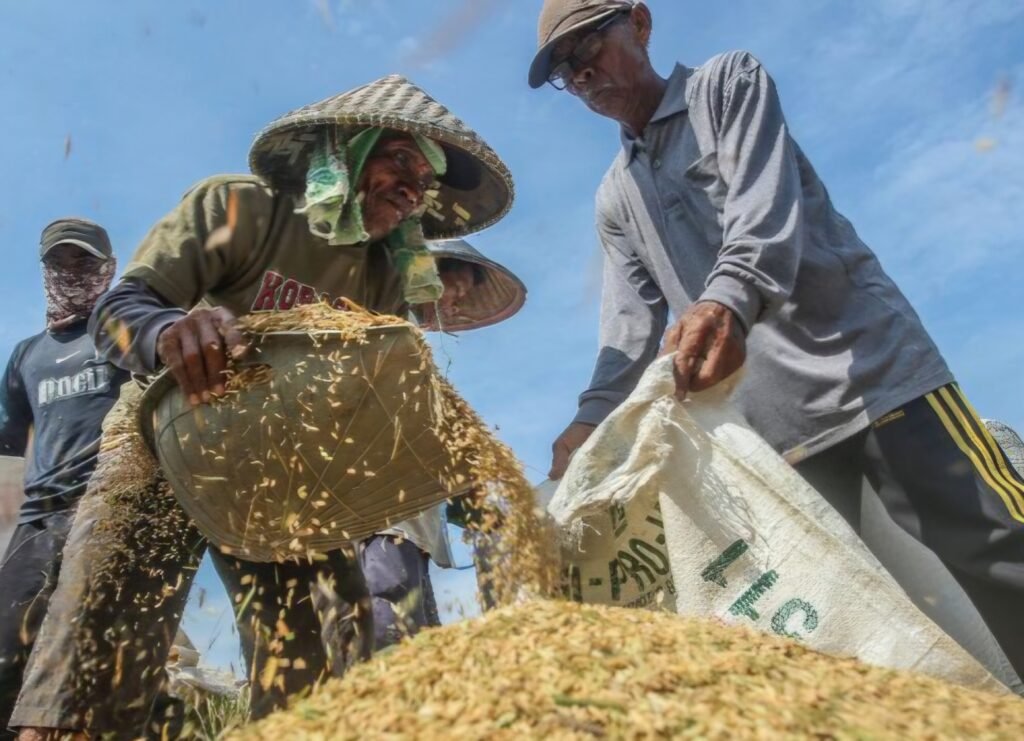 Rp16 Ribu per Kilogram, Malaysia Gelontorkan Rp8 Triliun Beli Beras Indonesia 500 Ton