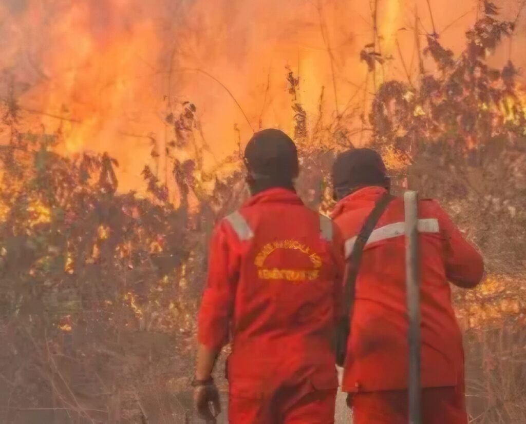 KLH Segel 19 Perusahaan Bermasalah Diduga Biang Keladi Karhutla