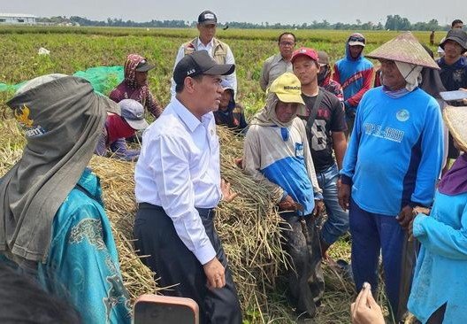 Ribuan Petani Sampaikan Aspirasi, Mentan Amran Telepon Langsung BWS dan Pupuk Indonesia