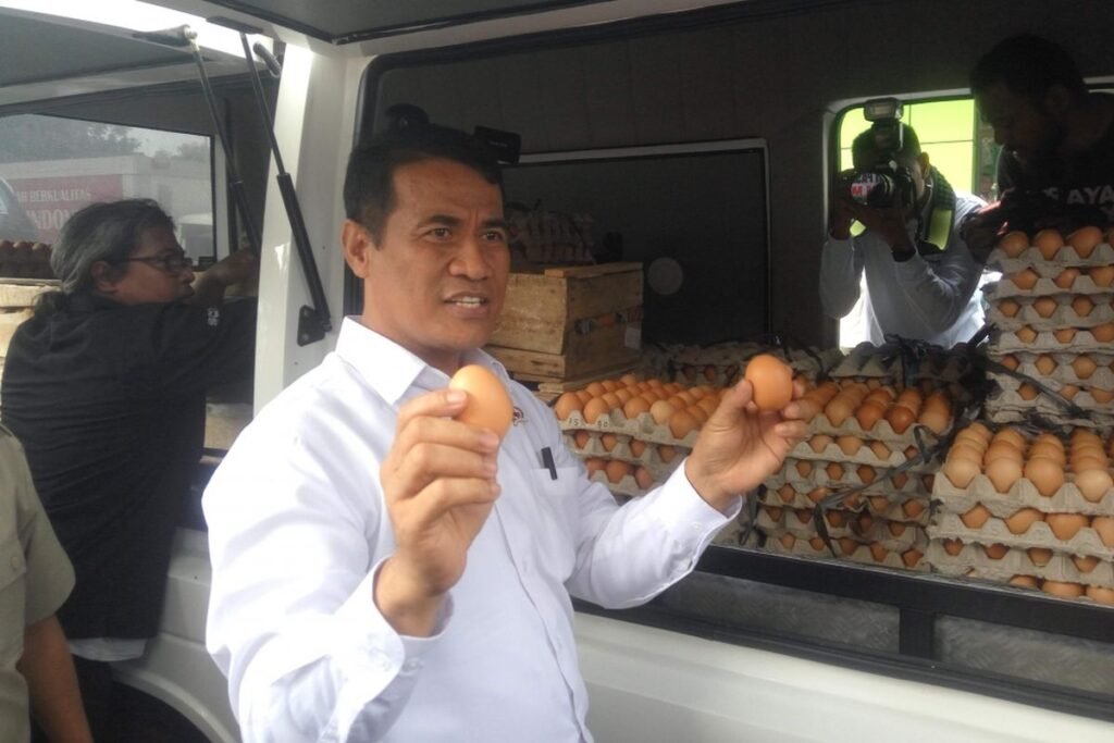 Harga Telur Tidak Wajar, Mentan Siapkan Skema Hilirisasi Industri Unggas