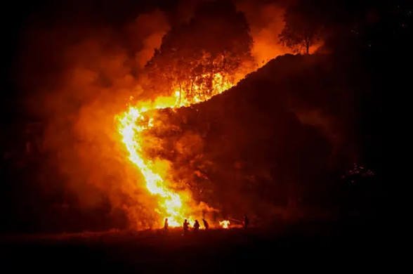 Kemenhut Perluas Sanksi Karhutla: 6 Perusahaan Dibekukan, Akumulasi Capai 32 Korporasi